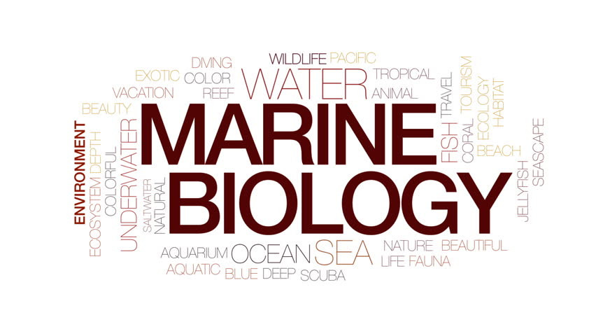 Science Fieldwork at The Marine Biology Centre in Portobello