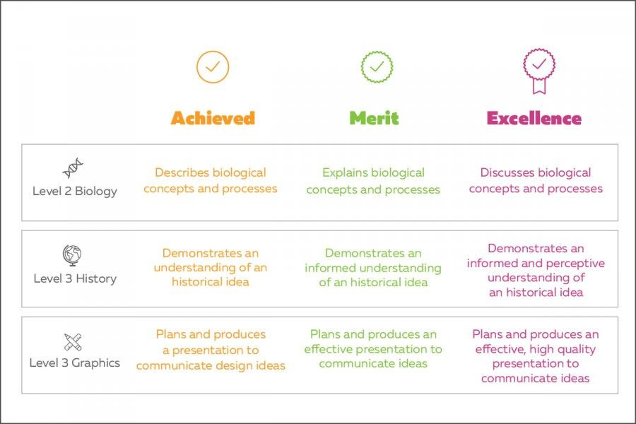 How To Understand Ncea Results 01