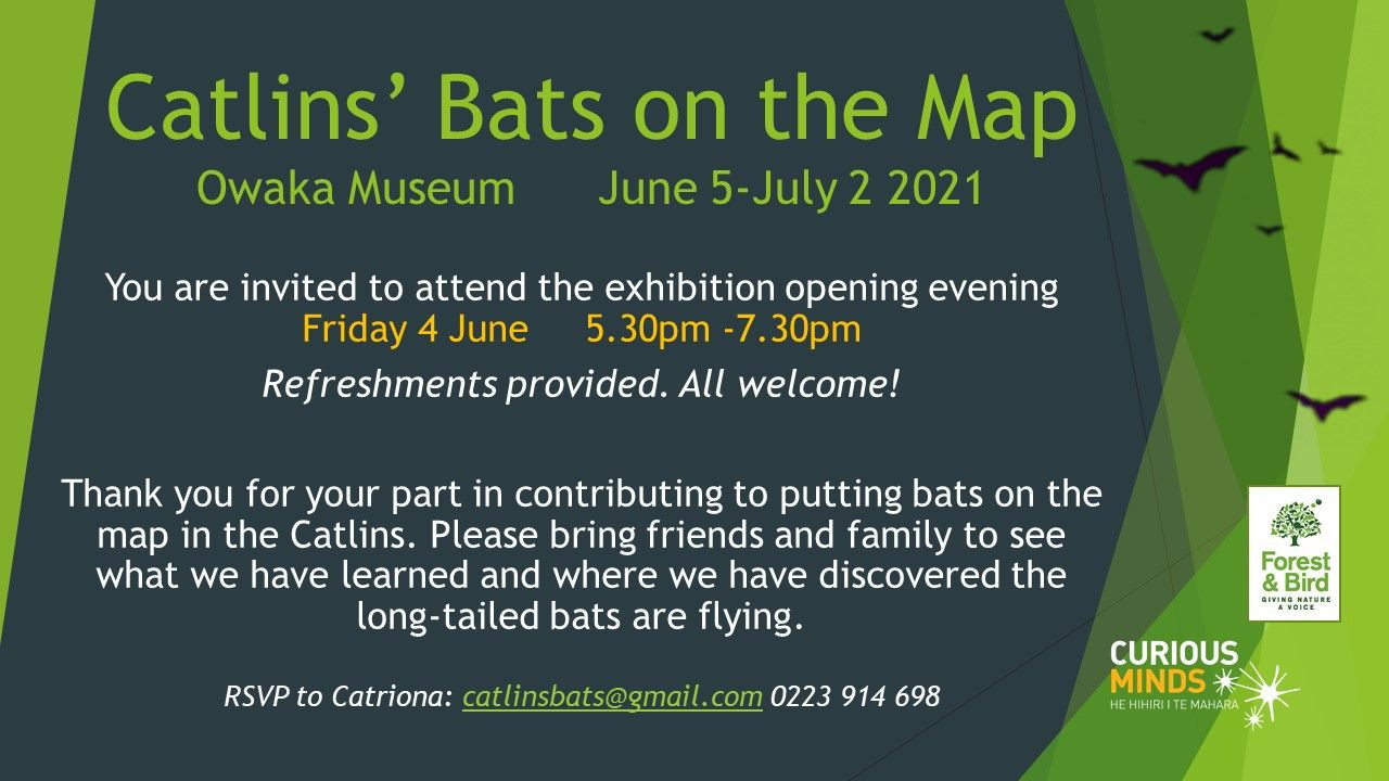 Catlins' Bats on the Map