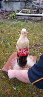 What happens when you combine Mentos, Diet Coke and Room 1?