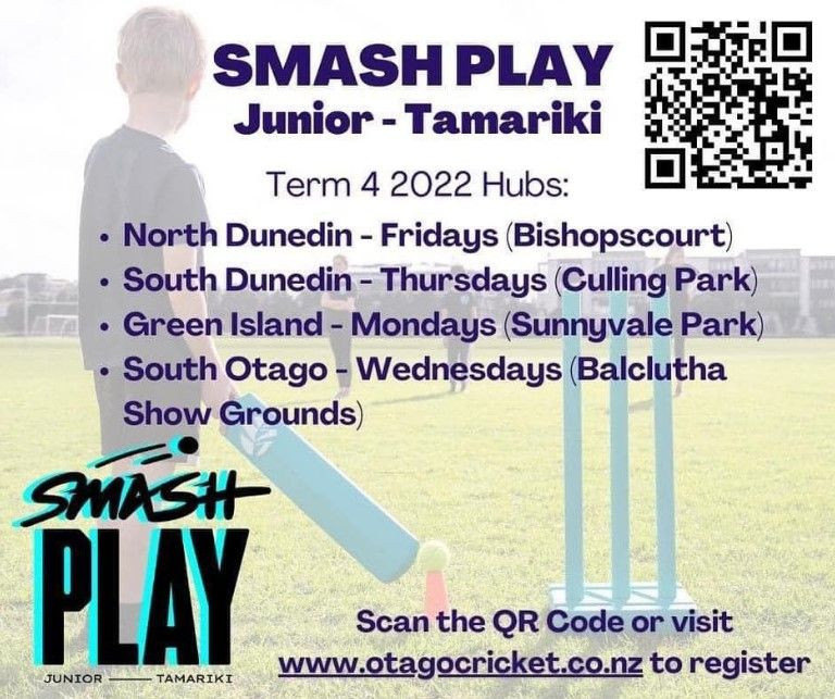 Smash Play Cricket 0 2