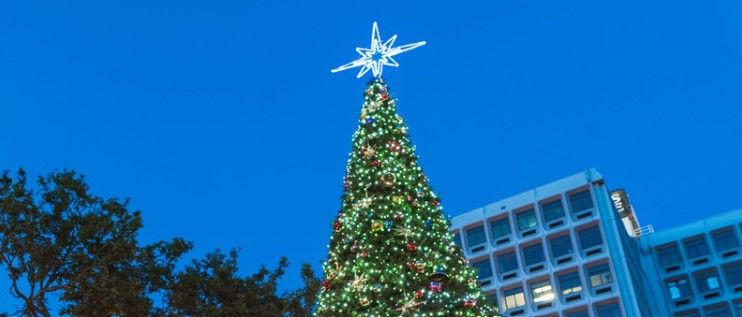 Lighting Of Christmas Tree